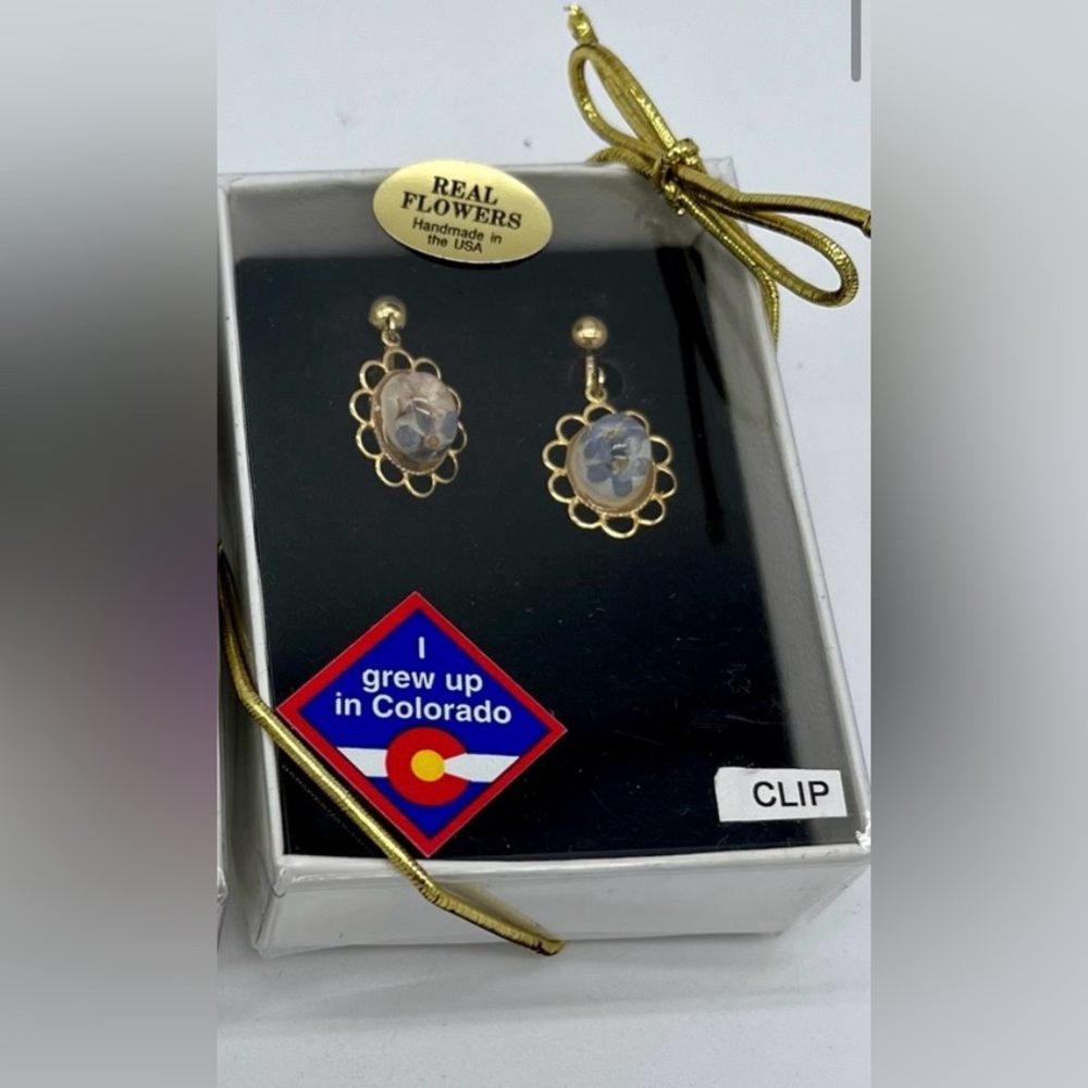 Real Pressed Forget-Me-Not Flower Clip-on Earrings